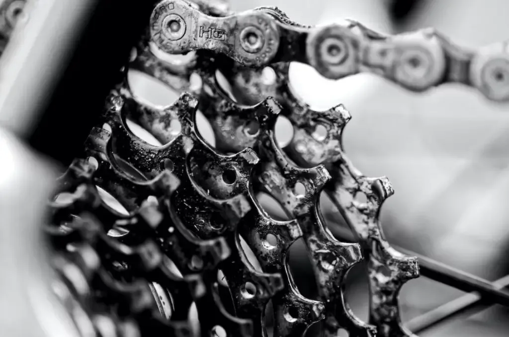 Check Maximum Cog Size